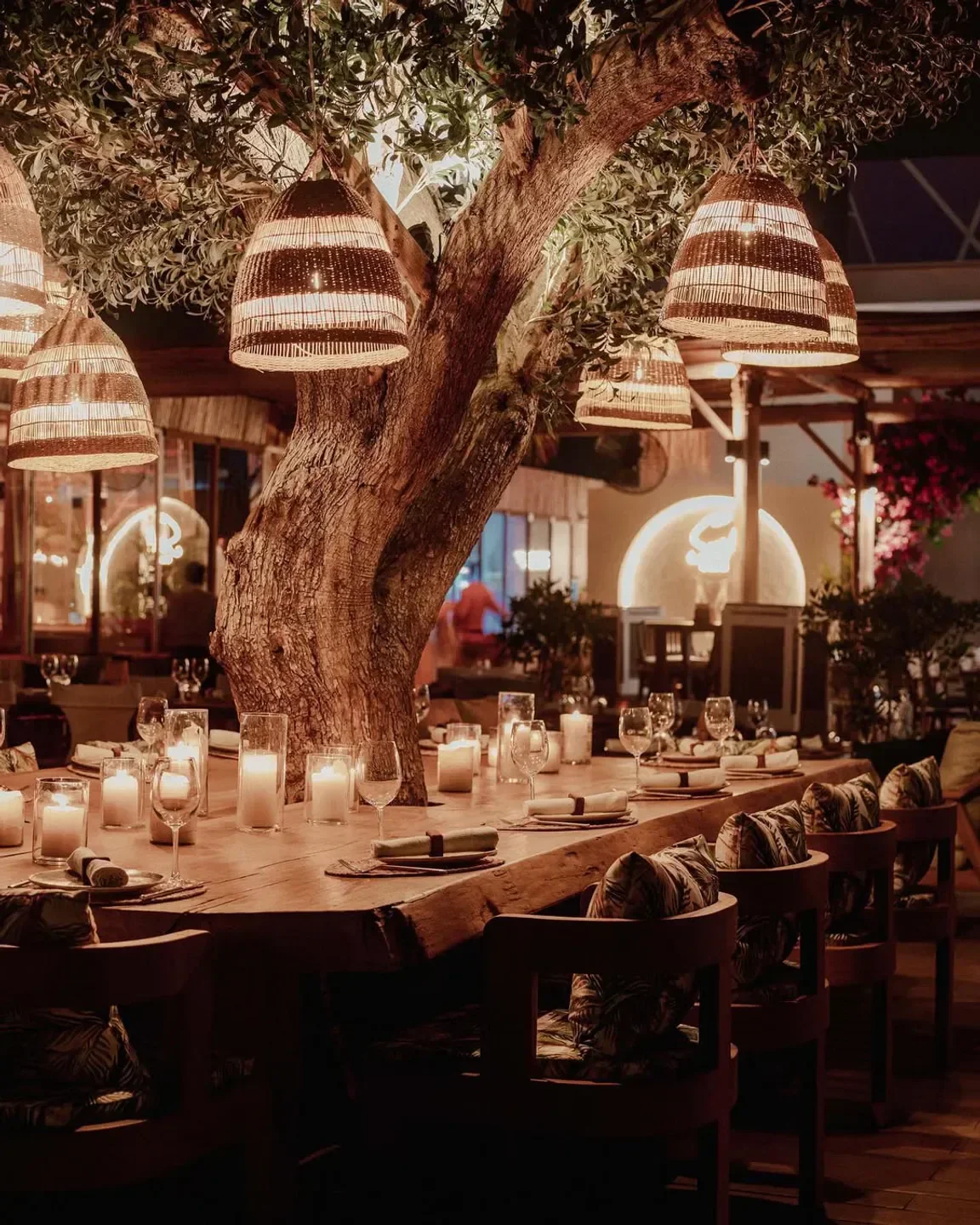 Cozy dining table at Surf Club Dubai, with a rustic tree and hanging lights